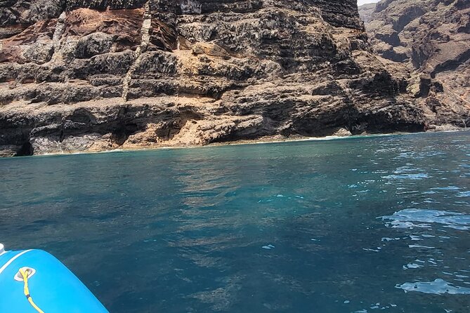 SEA SAFARI Dolphins, Whales, 3h speedboat DISCOVERY-TOUR - Cliffs, coves and the return along Tenerife’s coast