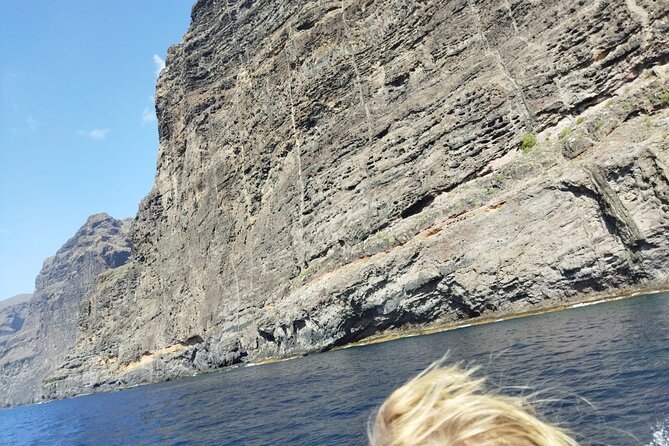 SEA SAFARI Dolphins, Whales, 3h speedboat DISCOVERY-TOUR - Who will enjoy this outing most