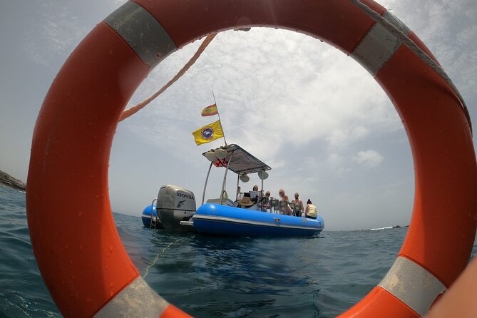 SEA SAFARI, Dolphins, Whales, snorkeling, snack and drink, 2 h speedboat - Who will enjoy this Costa Adeje outing