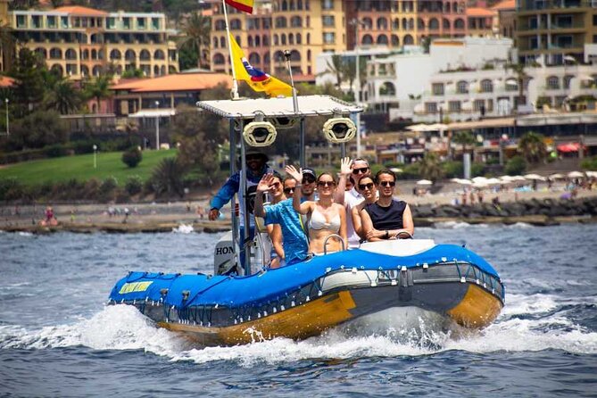 SEA SAFARI, Dolphins, Whales, snorkeling, snack and drink, 2 h speedboat - Watching dolphins and whales in Atlantic waters