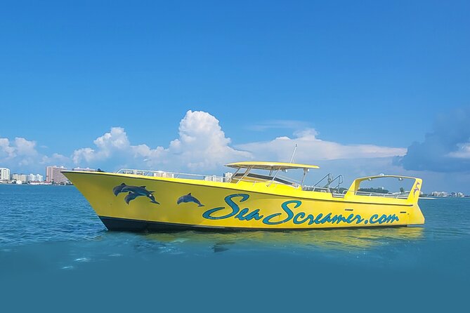 Sea Screamer Clearwater's Only Speed Boat Dolphin Watching - Out into the Gulf in search of pods