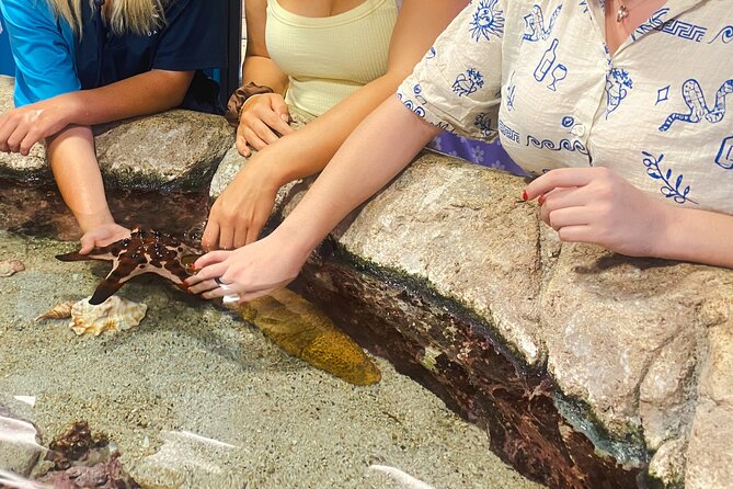 Shared Daydream Extreme High Speed Jetboat Tour - Should you book the Daydream Extreme Jetboat Tour?