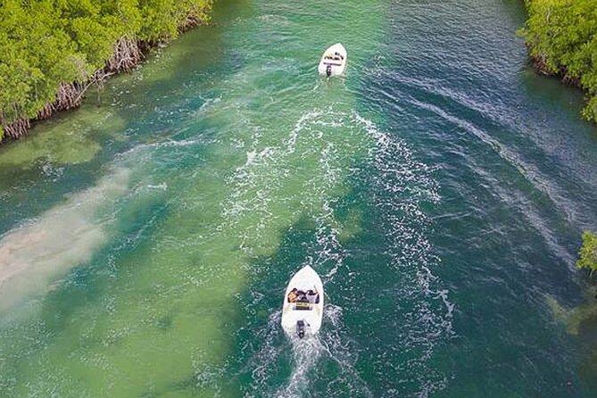 Shared Jungle Speed Boat Tour in Cancun - From sheltered water to the Caribbean reef