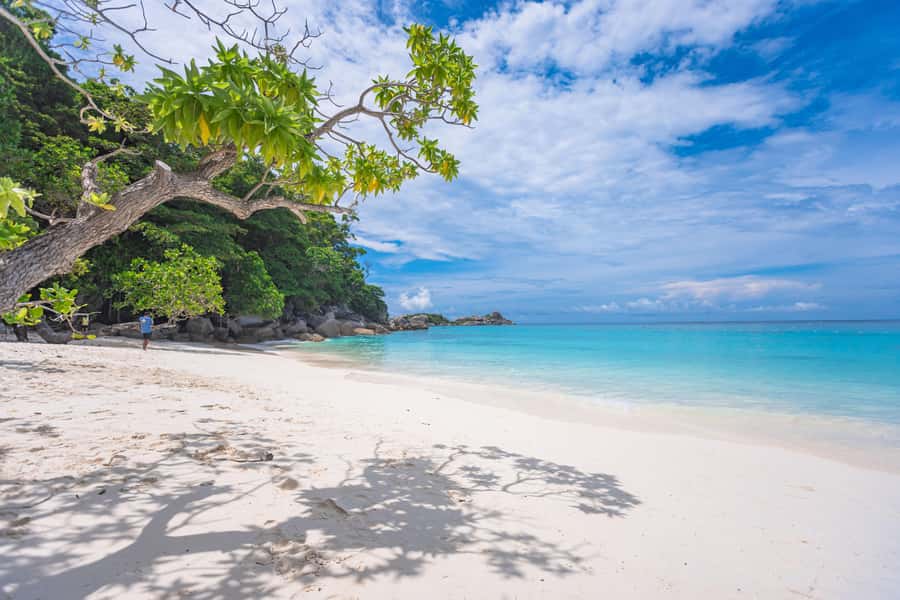 SIMILAN ISLAND BY SPEED BOAT FROM PHUKET - The 5:30 AM start from Phuket