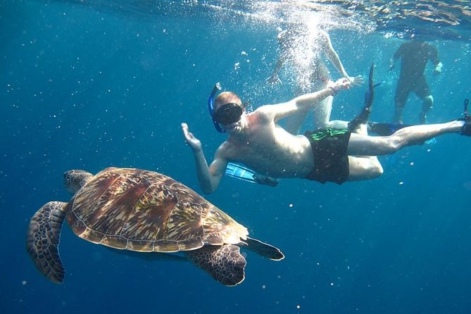 Similan Islands Day Trip by Speedboat From Phuket - Key points at a glance