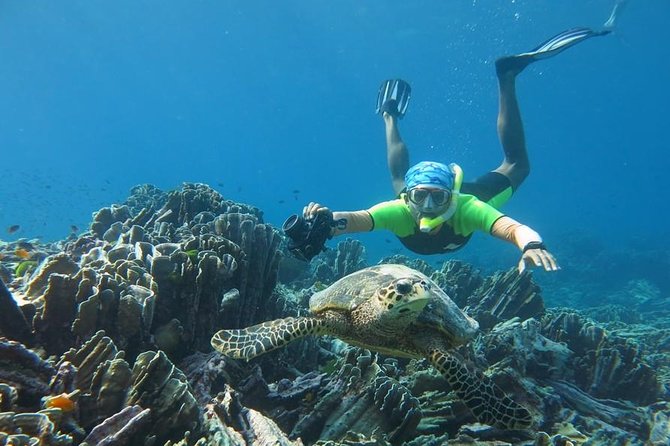 Similan Islands Day Trip by Speedboat From Phuket - Miang Island, lunch, and time to slow down