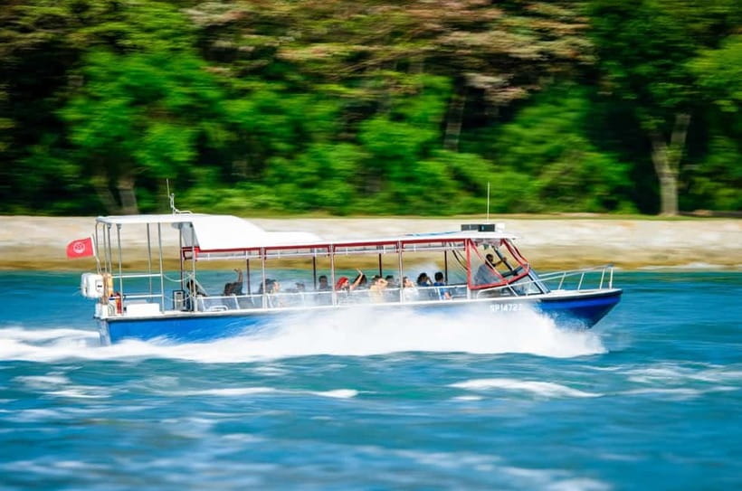 Singapore: Albatross Speedboat Adventures Ticket - Key points to know before boarding
