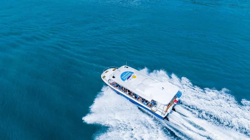 Singapore: Albatross Speedboat Adventures Ticket - Lazarus Island and St John’s Island from the water
