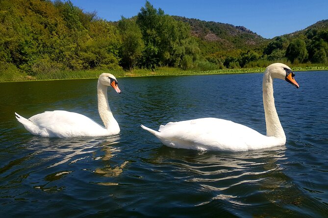 Skadar Lake & Virpazar return trip from Podgorica city - One hour among lilies, channels, and mountain views