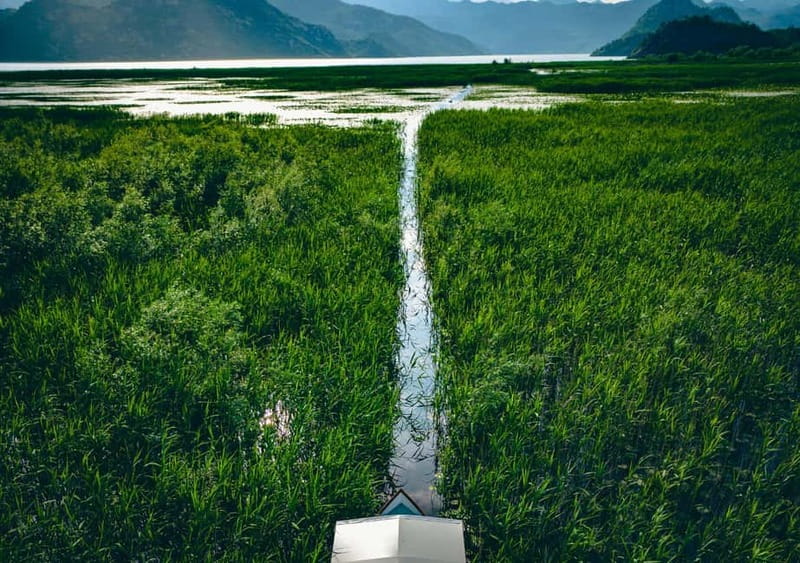 Skadar Lake Virpazar : Speed Boat Special ! - The monastery view and short swimming break