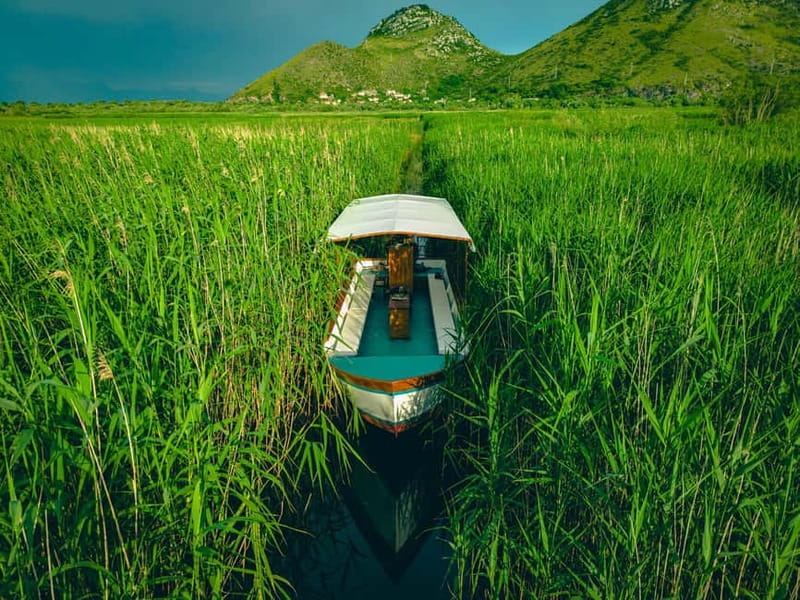 Skadar Lake Virpazar : Speed Boat Special ! - Is $24 good value?