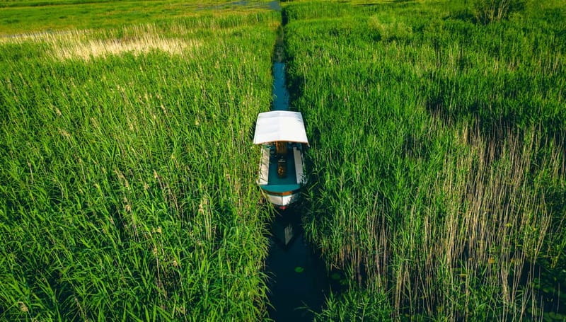 Skadar Lake Virpazar : Speed Boat Special ! - What the early departures and family feedback suggest