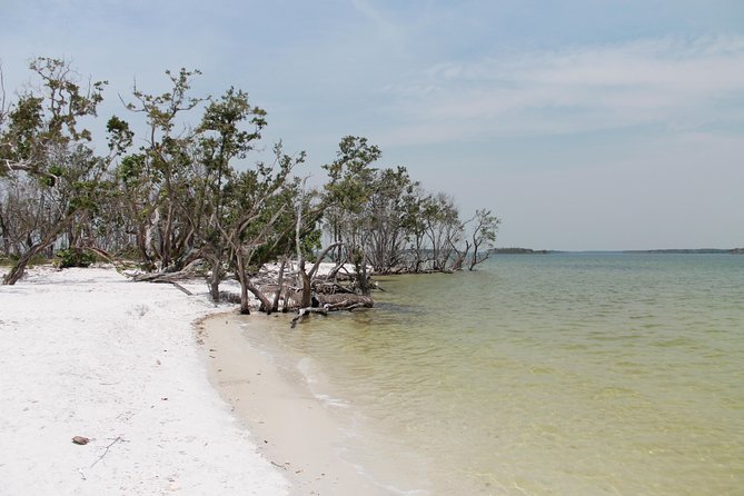 Small Group Motorboat Eco Tour of the Everglades - Setting out from Everglades City at 9:30 a.m.