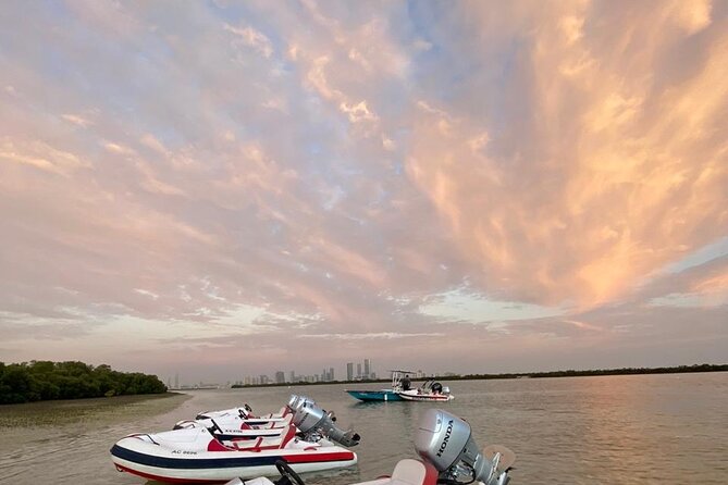 Small-Group Self-Drive Speedboat Tour in Yas Island Mangroves - Is $153.23 good value for two people?
