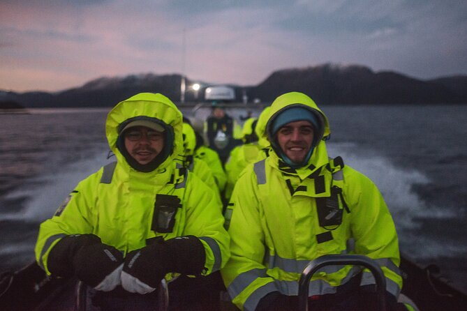 Small Group Whale Watching by RIB - Guides who shape the day