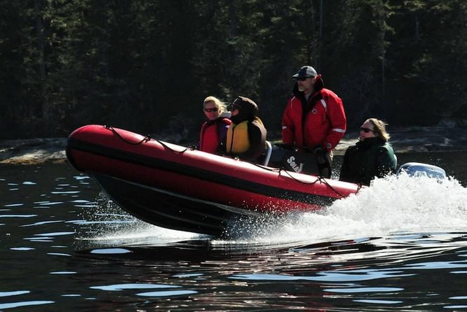 Small-Group Zodiac Wilderness Adventure from Ketchikan - At a glance