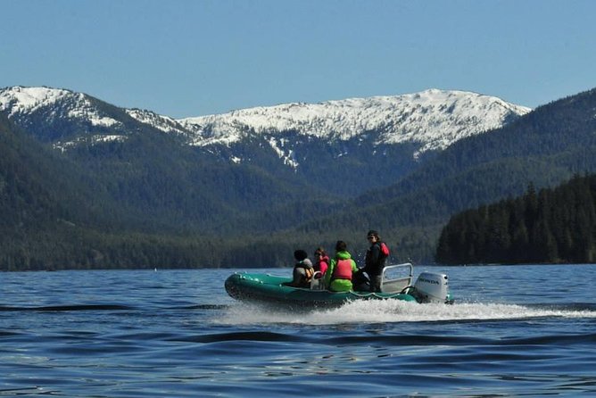 Small-Group Zodiac Wilderness Adventure from Ketchikan - What makes the wildlife search worthwhile