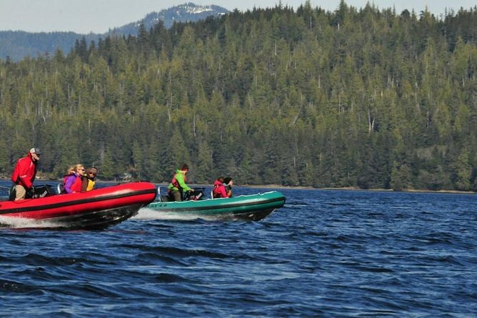 Small-Group Zodiac Wilderness Adventure from Ketchikan - Who will enjoy this most