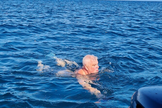 Snorkel with Dolphins, Lunch on Benitiers island, Speedboat - Who will enjoy this day most