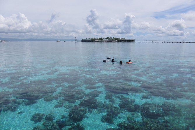 Snorkeling at San Vicente with speed boat - What you see beneath the surface
