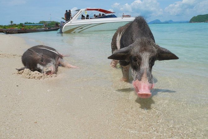 Snorkeling & Kayaking Trip at Koh Madsum and Koh Tan By Speedboat From Koh Samui - Practical planning for the morning