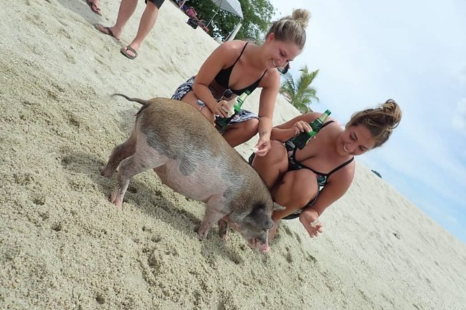 Snorkeling & Kayaking Trip at Koh Madsum and Koh Tan By Speedboat From Koh Samui - Should you book the Koh Madsum and Koh Tan tour?
