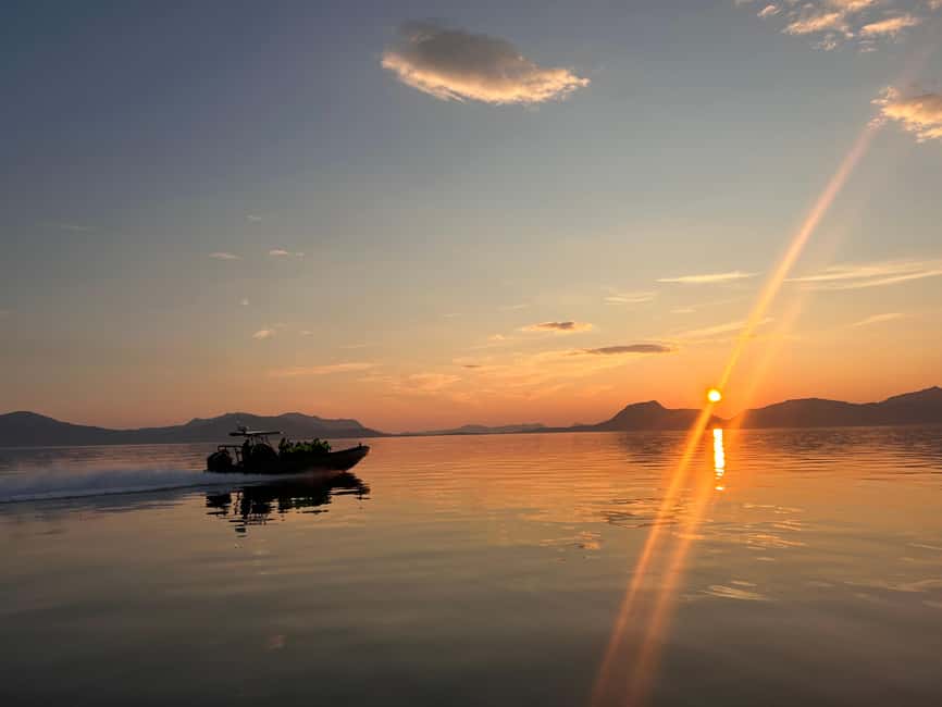 Sortland: Trollfjord RIB Boat Tour - Key points about the Sortland Trollfjord RIB tour