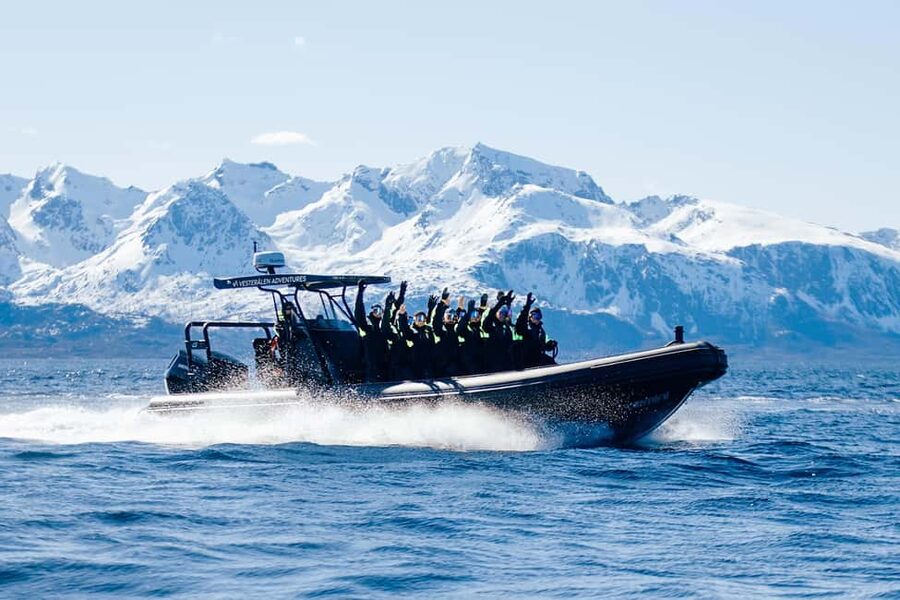Sortland: Trollfjord RIB Boat Tour - Why Trollfjord feels different from a standard boat trip