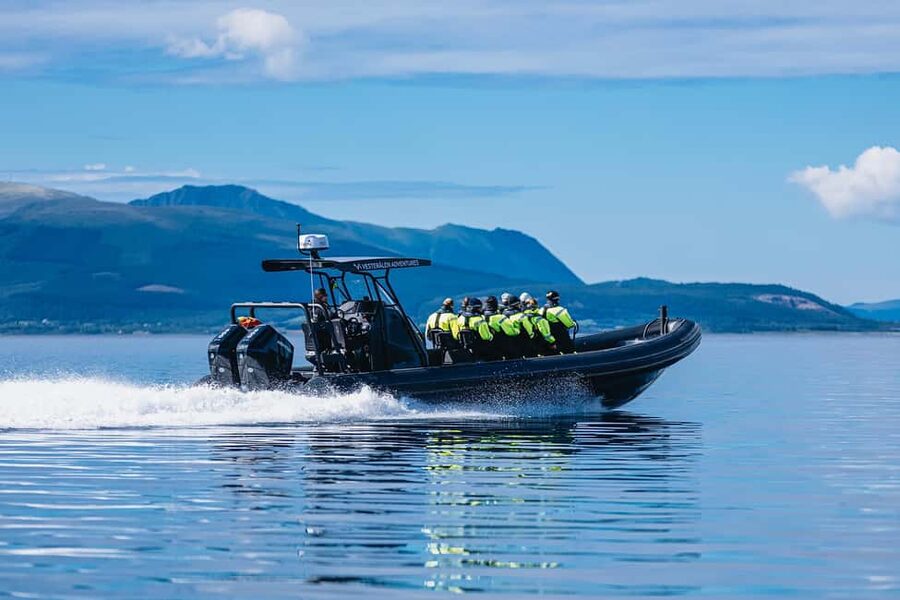 Sortland: Trollfjord RIB Boat Tour - Is $227 a fair price?