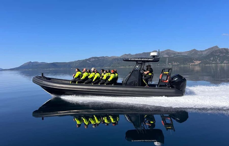 Sortland: Trollfjord RIB Boat Tour - Who should book this experience?
