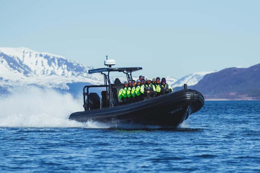 Sortland: Trollfjord RIB Boat Tour - Should you book the Sortland Trollfjord RIB tour?