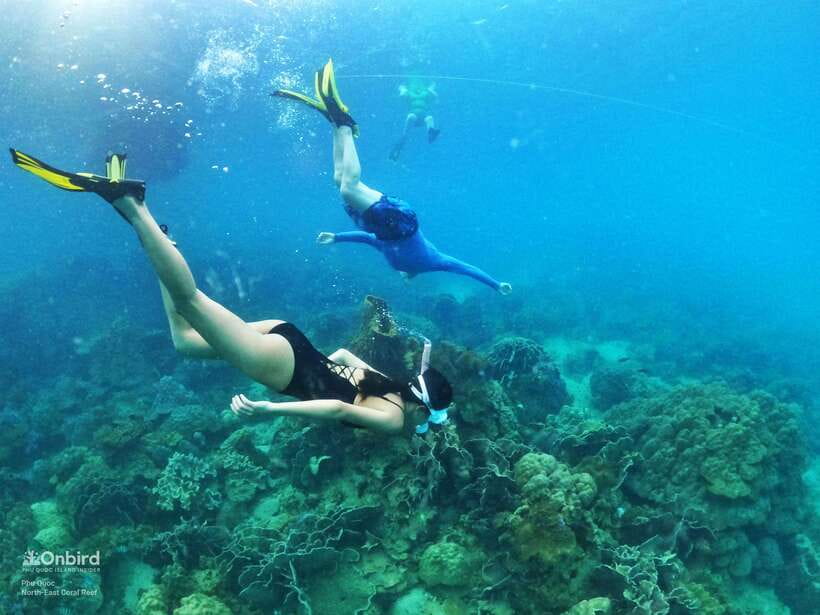 South Phu Quoc: Pro Snorkeling Tour by Speedboat - Key points to know before booking