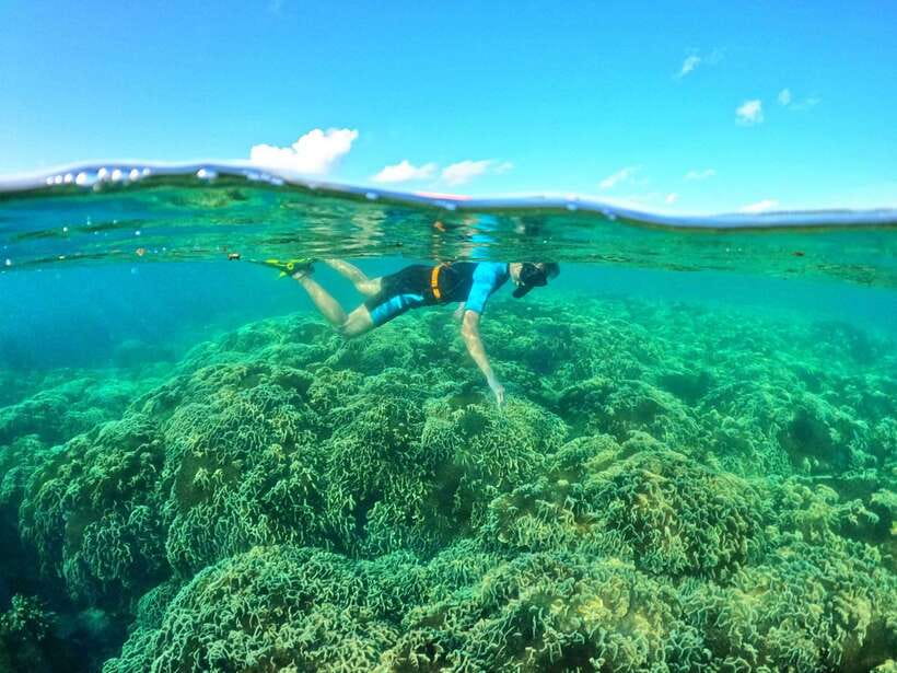 South Phu Quoc: Pro Snorkeling Tour by Speedboat - What the guides add underwater