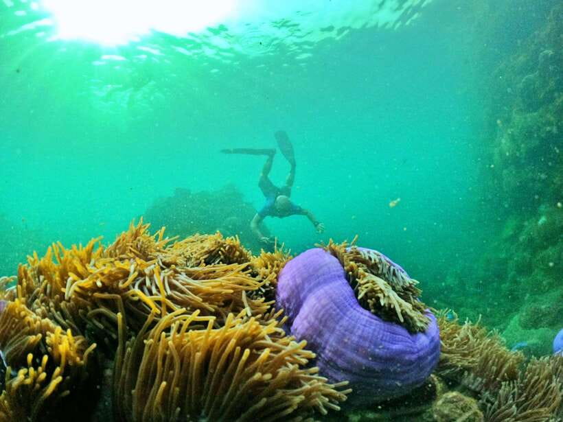 South Phu Quoc: Pro Snorkeling Tour by Speedboat - Timing, weather, and practical planning