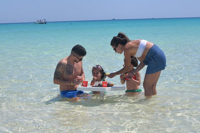 Speed Boat 4 Hours Swim Dolphin, Orange Island ,Snorkeling - Is $52.27 good value?