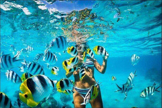 Speed Boat and Snorkel Adventure from Punta Cana - Second stop: the natural pool sandbank