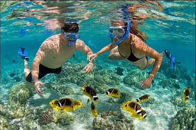 Speed Boat and Snorkel Adventure from Punta Cana - Who will enjoy this most?