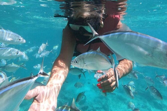 Speed Boat and Snorkeling in Punta Cana Bavaro - Snorkeling at Bavaro Reef