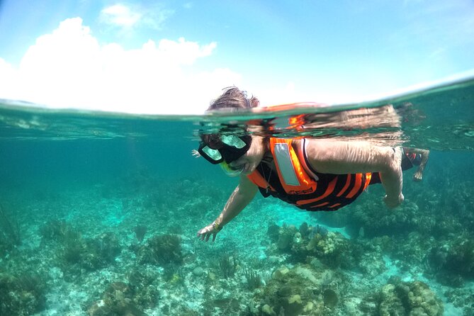 Speed boat aventure and snorkel - What the 3.8 rating tells me