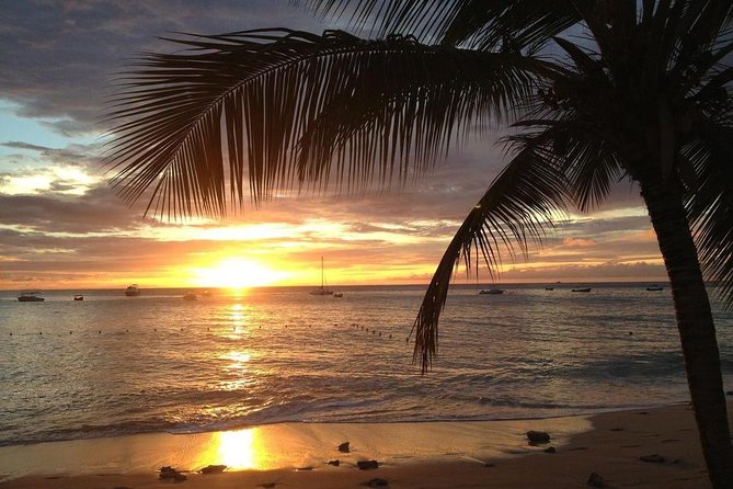 Speed Boat Private Sunset Snorkeling and sightseeing from Samui - What private really means here