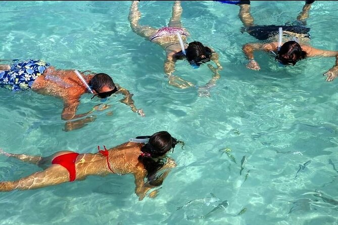 Speed Boat Ride and Snorkel Experience in Punta Cana - Weather and Timing Matter