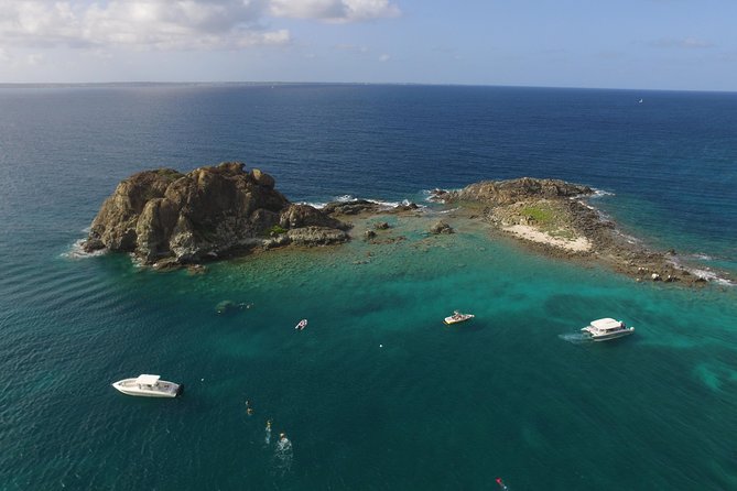 Speed Boat & Snorkeling Tour Pinel & Tintamarre Islands for CRUISE SHIP GUESTS - Grand Case and Creole Rock snorkeling