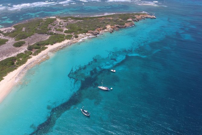 Speed Boat & Snorkeling Tour Pinel & Tintamarre Islands for CRUISE SHIP GUESTS - Tintamarre Island and the first turtle swim