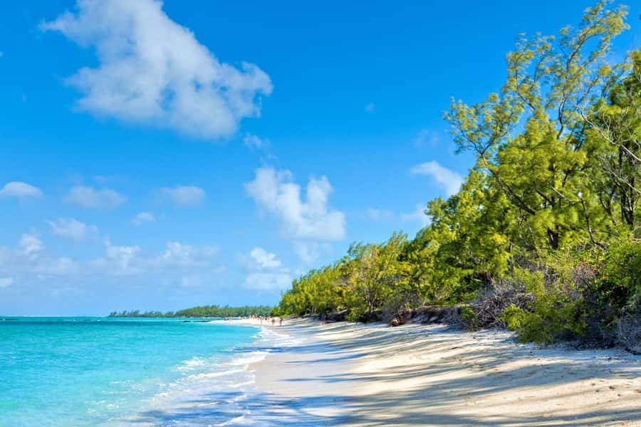 Speed boat to Ile aux Cerfs: Full day incl Lunch & Transfer - What the $90 price really covers