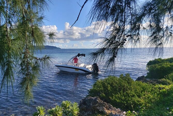 Speed Boat Tour île aux Cerfs and Others Gems of The South - The river mouth and waterfall