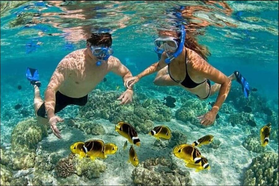 Speedboat Adventure and Snorkeling from Punta Cana - Driving a speedboat from Bávaro