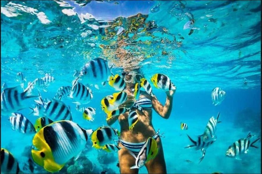 Speedboat Adventure and Snorkeling from Punta Cana - Who should book this Punta Cana outing?