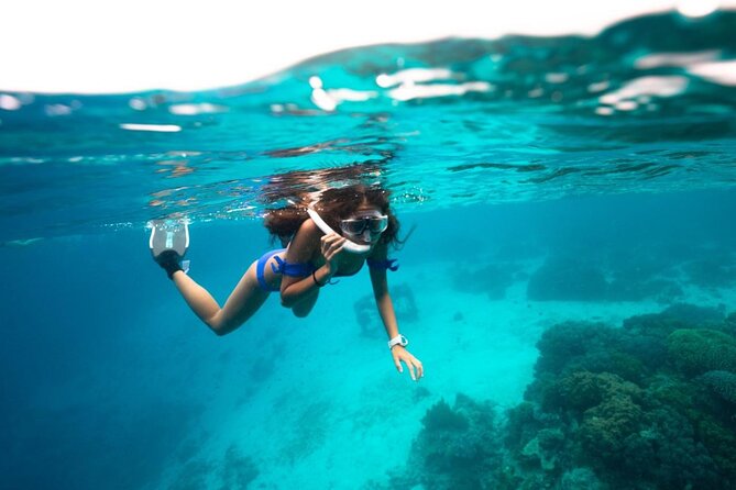 Speedboat Adventure and Snorkeling in Cancun - Price, fees, and the real value