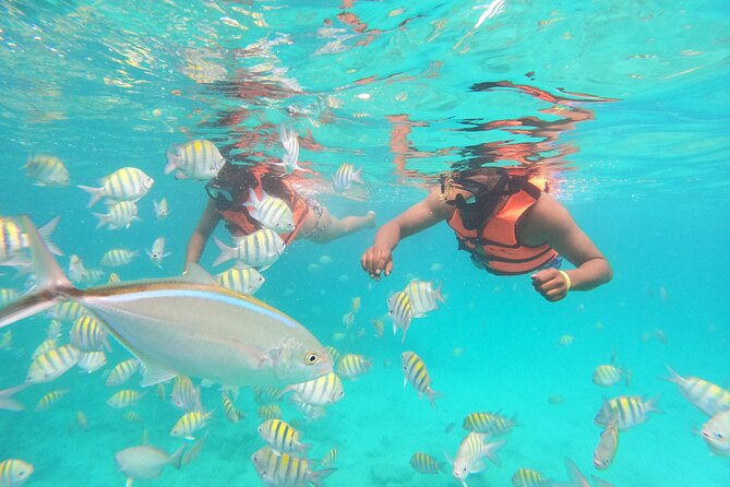 Speedboat Adventure to Snorkeling Spot and Natural Pool - The speedboat ride along the Caribbean coast