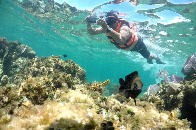Speedboat and snorkel adventure - What the $20 fare really buys you